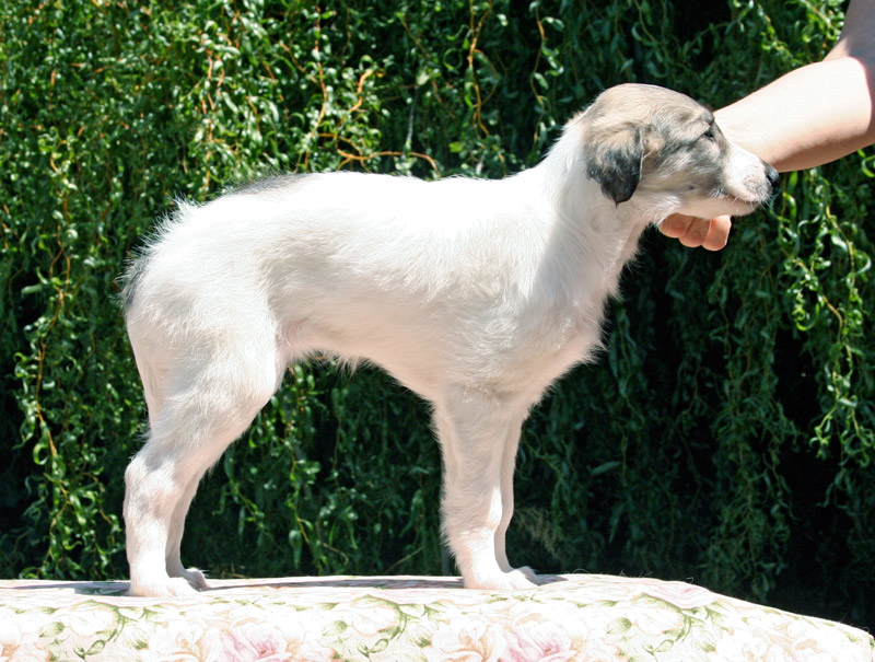 Surf Spots - Girl 2 Right